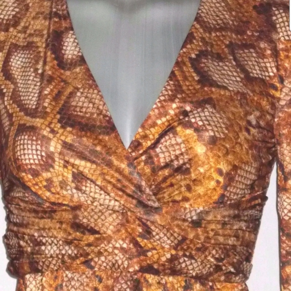 Animal Print Dress